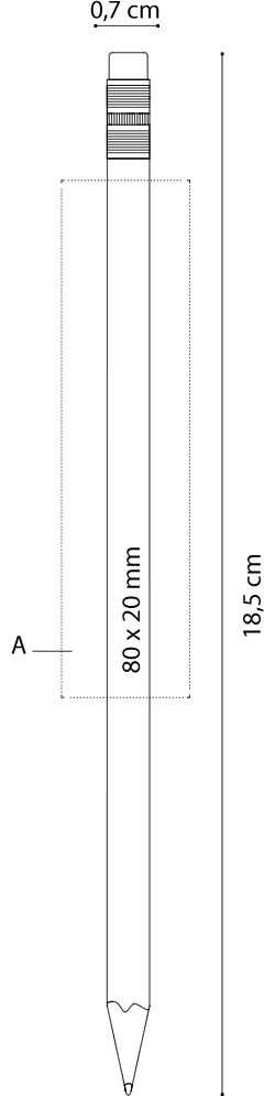 Dimensione e area stampa Matita Bic Evolution Ecolutions