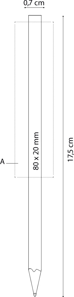 Dimensione e area stampa Matita Bic Evolution Ecolutions